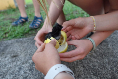 signal-2023-12-18-19-06-04-309-4