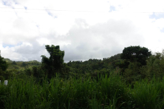 signal-2023-12-18-19-06-04-309-5