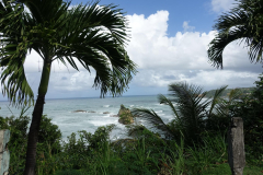 signal-2023-12-18-19-06-04-309-6