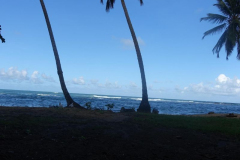 signal-2023-12-18-19-06-04-309