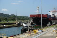 signal-2024-01-21-01-58-40-442-11