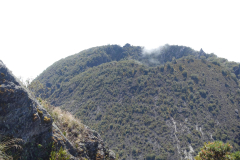 signal-2024-01-21-01-58-40-442-15