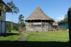 signal-2024-01-21-01-58-40-442-18