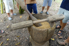 signal-2024-01-21-01-58-40-442-19