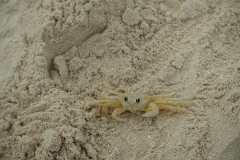 signal-2024-01-21-01-58-40-442-2