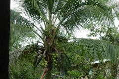 signal-2024-01-21-01-58-40-442-20