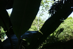 signal-2024-01-21-01-58-40-442-21