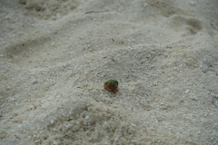 signal-2024-01-21-01-58-40-442-3