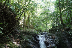 signal-2024-01-21-01-58-40-442-4