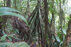 signal-2024-01-21-01-58-40-442-6